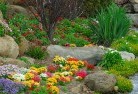 Rubyannaplanting-garden-and-landscape-design-69.jpg; ?>